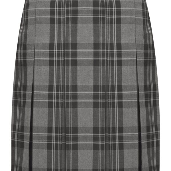 Tartan Pleated Skirt Junior Thumbnail